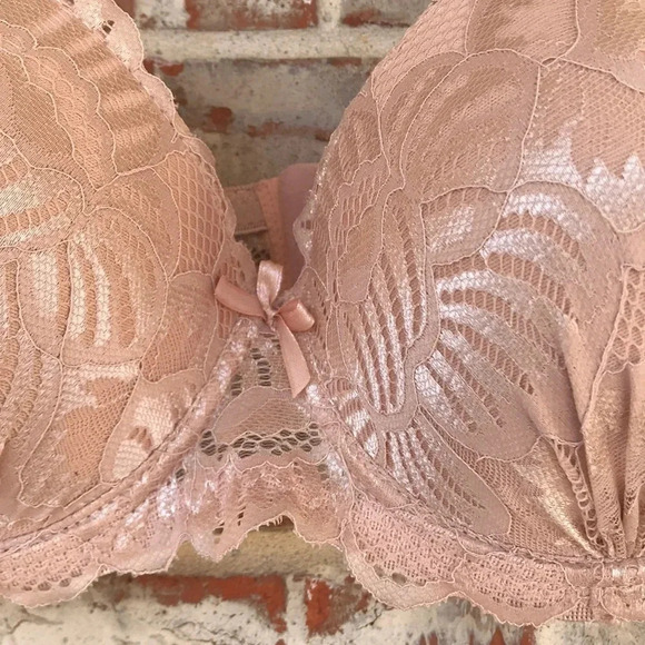 Blush Lace Lightly Padded Underwire Bra - Picture 3 of 8